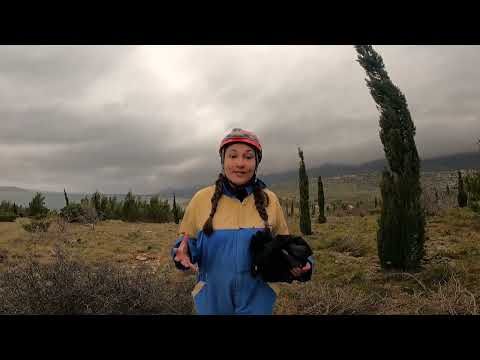 Dabas Pētnieki  - Ekspedīcija alās! Alu pētnieki! Kur dzīvo sikspārņi? Mācāmies kopā latviski.