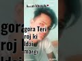 Gora Teri Roj Ki Ldai Margi