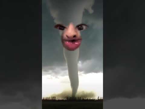 How to show the tornado who’s boss #shorts
