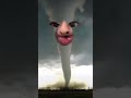 How To Show The Tornado Who S Boss Shorts