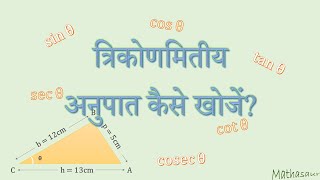 दो वस्तुओं की ऊँचाई और परछाई का अनुपात
