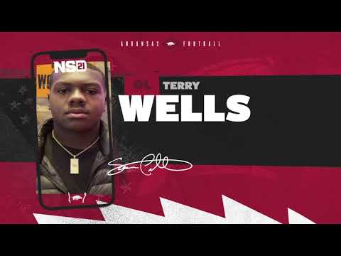 Razorback Football: Terry Wells Highlights