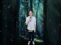 The terrible truth about fireflies #comedy #music #parody of #fireflies by #owlcity