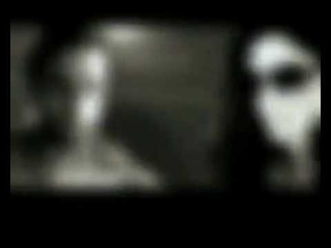 RASHEEDY V.S Elissa .mp4.flv