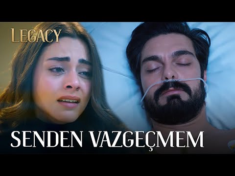 I will never give up on you! | Legacy Episode 274