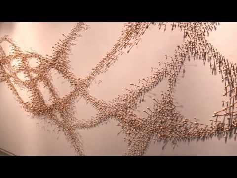 Ranjani Shettar | Bubble trap and a double bow