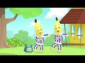 The Banana Dance Bananas In Pyjamas Season 2 Full Episodes Bananas In Pyjamas