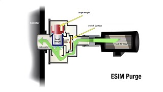 A Closer Look: Evaporative System Integrity Module (ESIM)