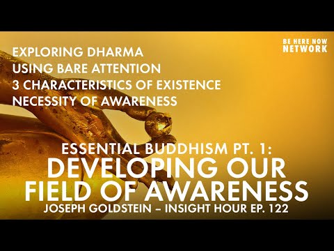 Essential Buddhism Part 1 - Developing Our Field of Awareness w/ Joseph Goldstein - Insight Hour 122