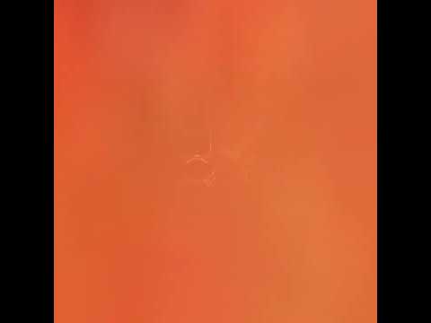 cake vs rudra part 4