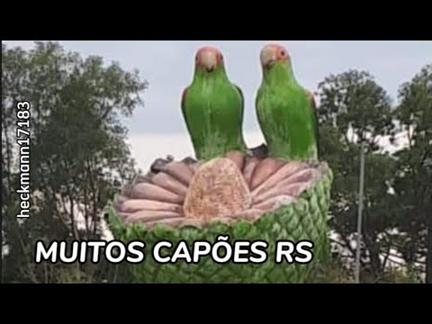 MUITOS CAPÕES RS: pontos turísticos