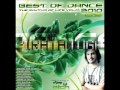 Best Of Dance 2010 CD3 Faixa 17 Wmv