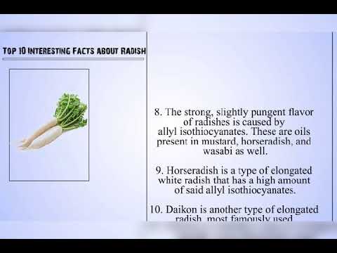 , title : 'What Is Daikon Radish, and What Is It Used For?'
