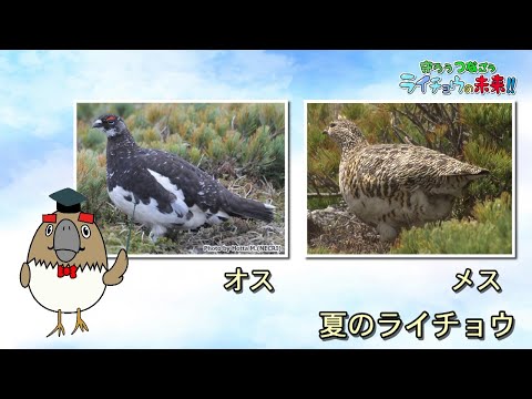 IUCN分類における絶滅の危険性を示す図。