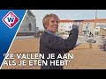 Katwijk geeft de hoop op in de strijd tegen de meeuwen
