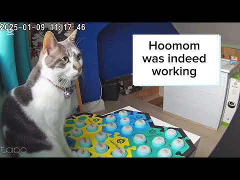 Sabriel thinks Hoomom is slow.