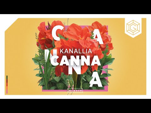 Kanallia - Canna (Radio Mix)
