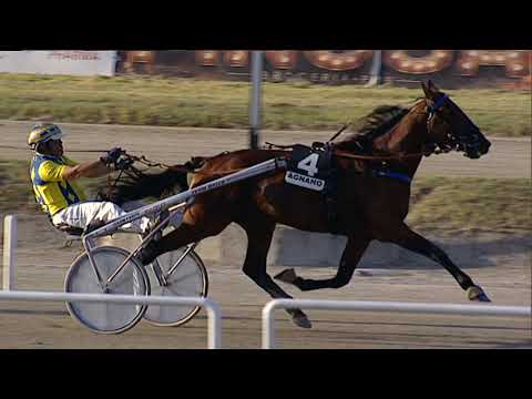 Napoli Trotto 15/09/2023 - 7ª corsa