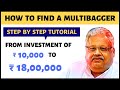 How to Find a Multibagger Stock?