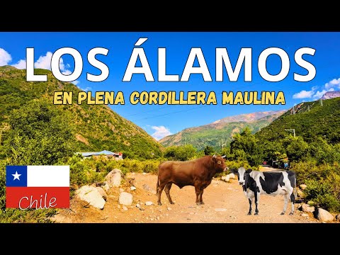 🇨🇱 Conoce el pueblo cordillerano de Los Álamos 🌳🗻