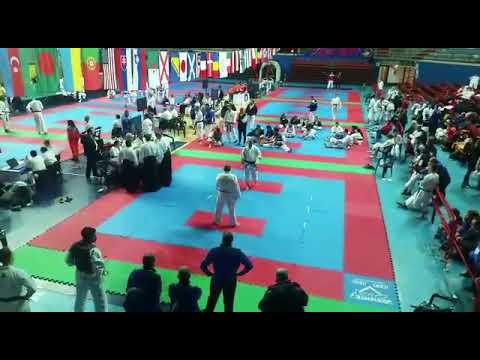 Mondiale TRADIZIONALE ETKF