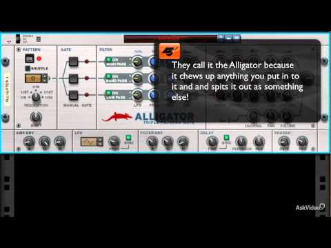 Reason 7 205: Alligator - 1. Introduction