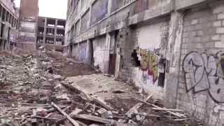 The Packard Plant. Detroit, Michigan