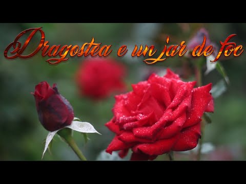 Gheorghe și Melania Zoltan - Dragostea e un jar de foc (Cântec de nuntă/NOU 2021)