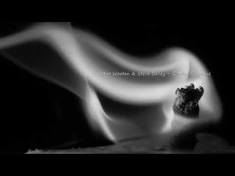 Victor Wooten & Steve Bailey ~ Glorius Pastorius