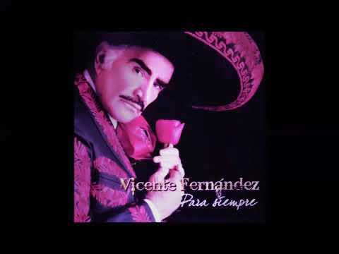 Vicente Fernández - El último en la Fila