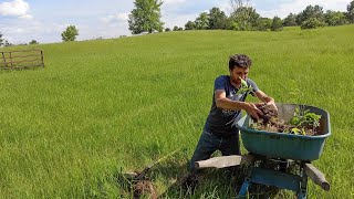 Arboretum Update 2022