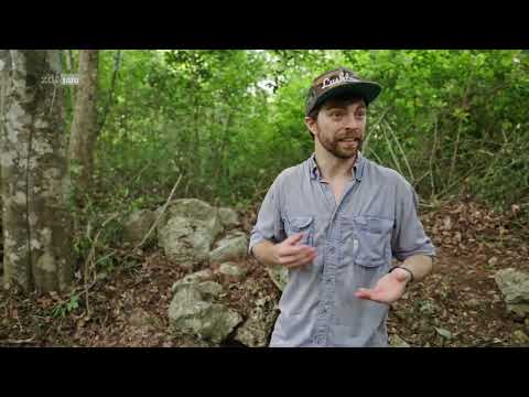 Die großen Geheimnisse der Maya (2/4): Aufstieg zur Hochkultur (2024)