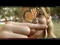 "Goin' Down To Mexico (The Monarch Butterfly Song)" about monarch migrations