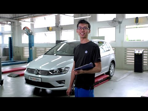 Das WeltAuto 115-point check