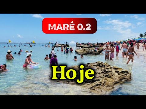 Porto de Galinhas today 04/02/26 Tide 0.2