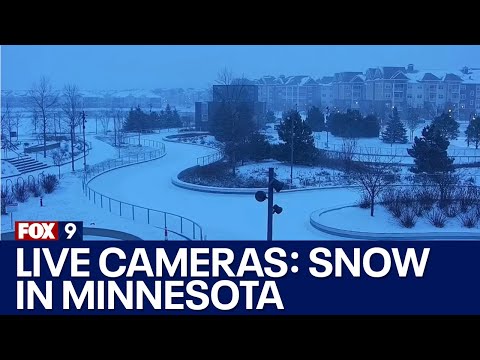 Live snow cameras: Twin Cities to get several inches of snow
