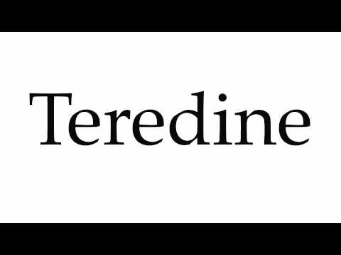 How to Pronounce Teredine