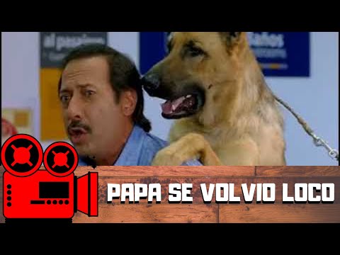 Papa se volvió loco