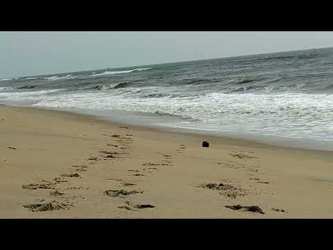 Tannir Bavi Beach | Karnataka 2021