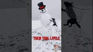 Frosty the Snowman Gets Mauled by a Dog! ⛄😱