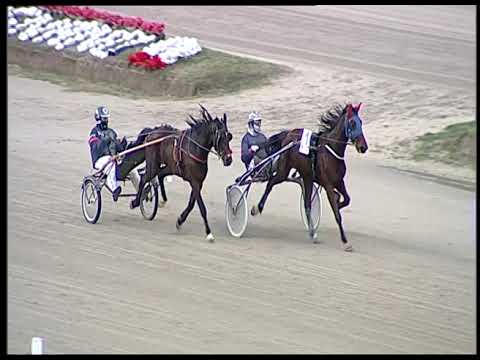 Napoli Trotto 16/12/2022 - 4ª prova di qualifica