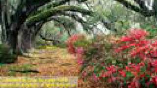 AMEDEO MINGHI - I RICORDI DEL CUORE