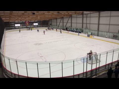 January 31, 2019 vs IHA 2nd Period