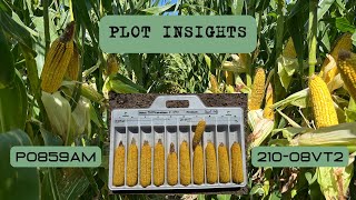 Plot Insights 210-08VT2 vs P0859AM