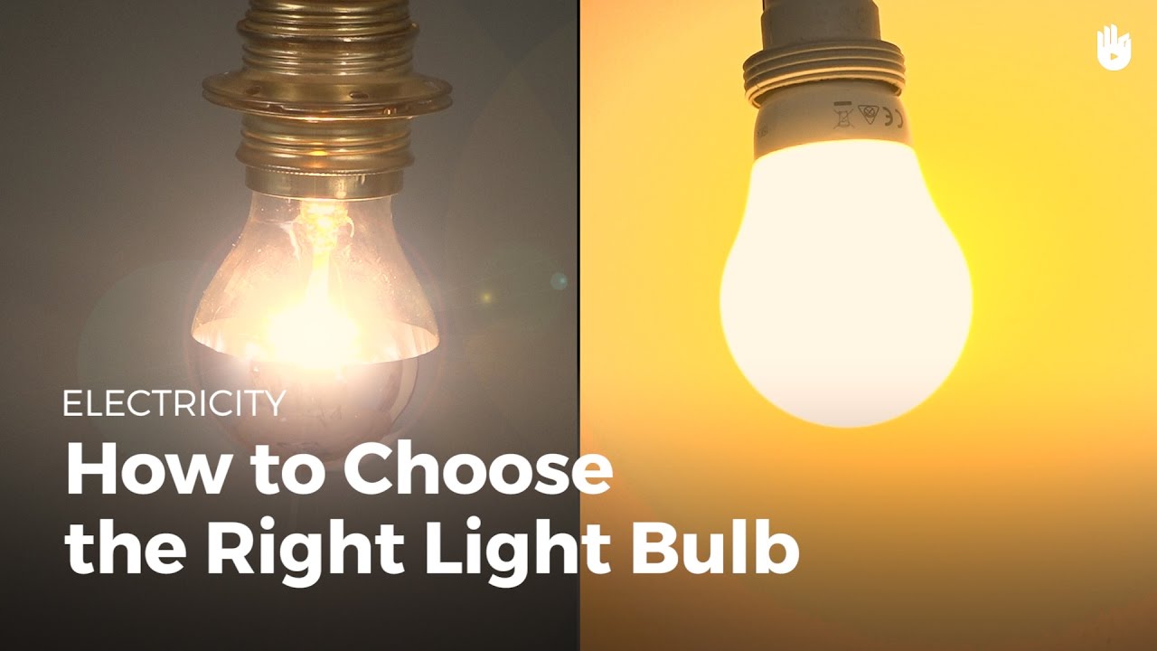 How to Choose a Light Bulb Electricity for Everyone Basic Lessons