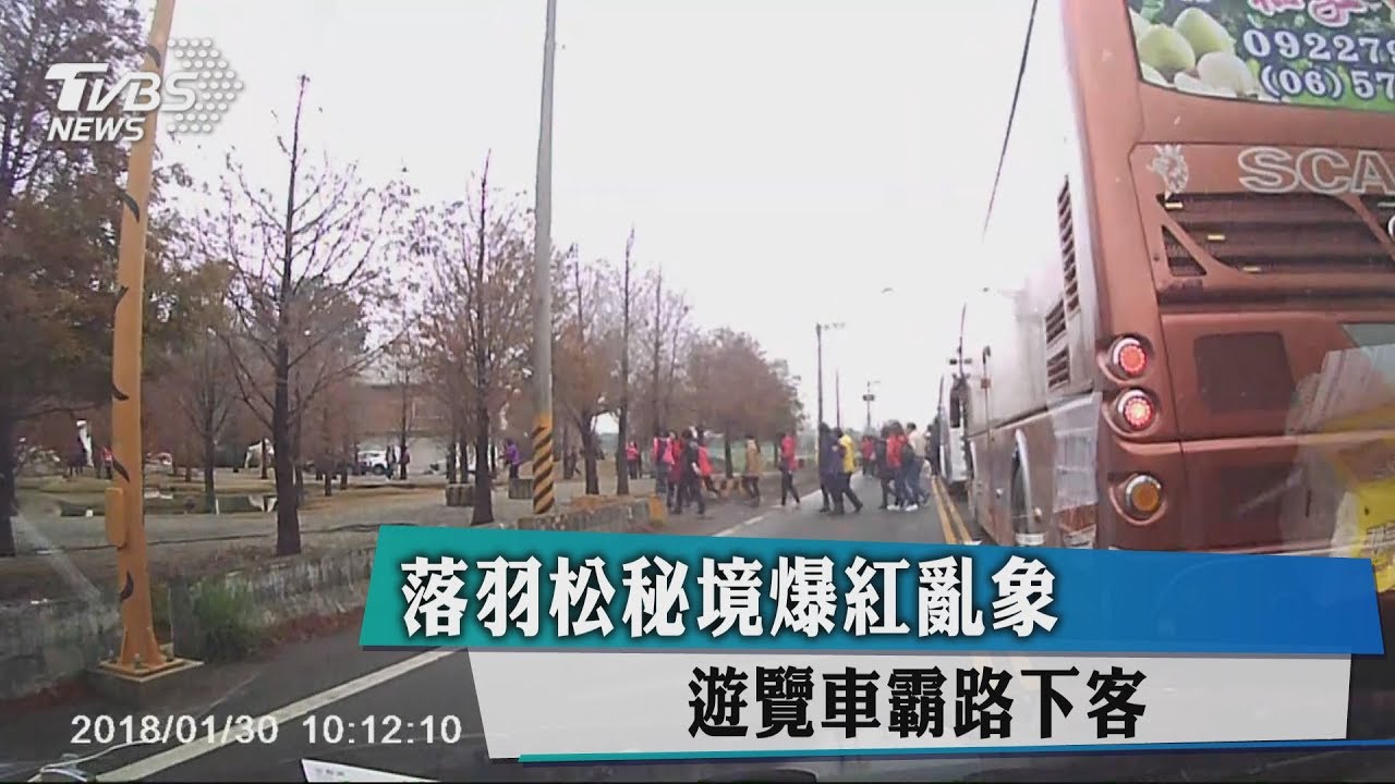 落羽松秘境爆紅亂象 遊覽車霸路下客