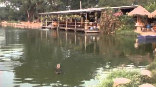 preview picture of video 'Fishing Dream-Lake Resort Chiang Mai'