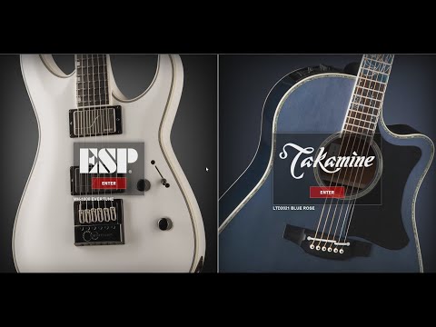 Best New ESP Guitar 2021?