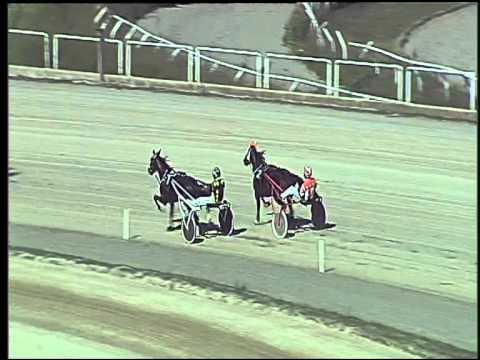 Trotto 20/09/2015 - 3° prova di qualifica