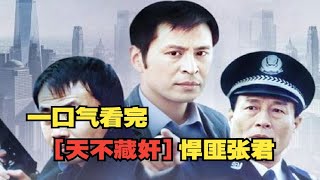 一口气看完【天不藏奸】真实事件改编！悍匪江啸 原型张君